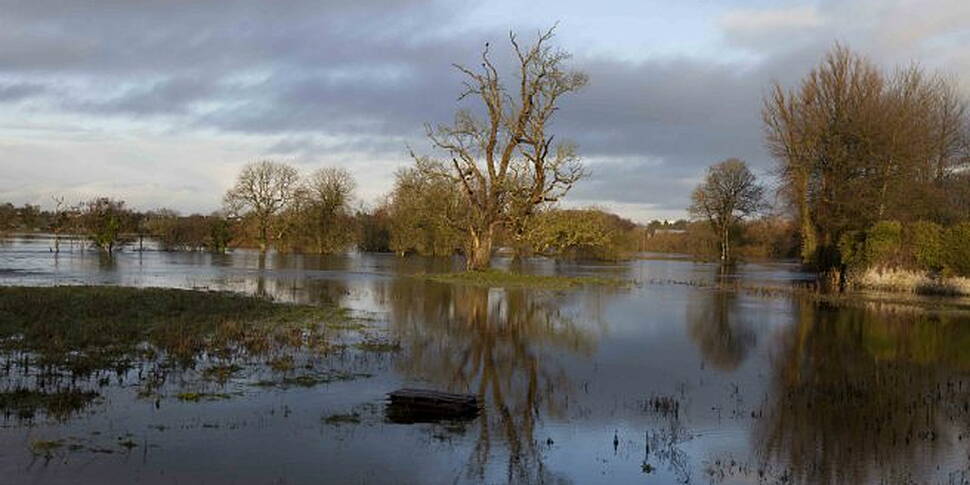 Shannon floods to peak later t...
