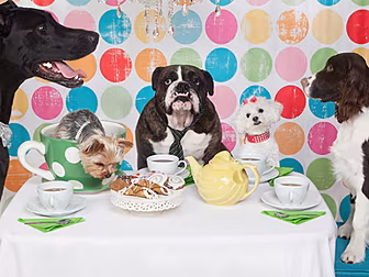 Host A Tea Party And Raise Vit...