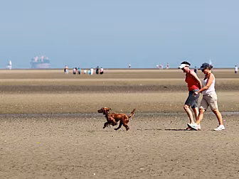Warmest Weather This Year On T...