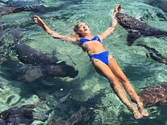 Teenager Bitten By Shark While...