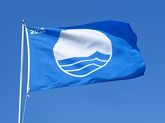 Record Number Of Blue Flag Bea...