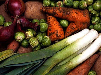 What Is The Future Of Food?