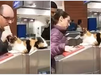 Every Station In Ireland Needs...