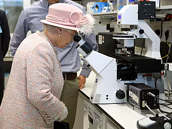 The Queen Is Looking For A New...