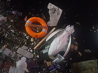Is Litter Killing Our Wildlife...