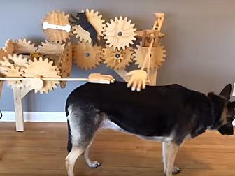Someone Has Invented A Dog Pet...