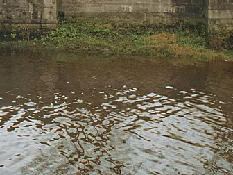 Girl Critical After Limerick B...