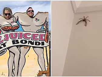Dermot Found The Biggest Fecki...