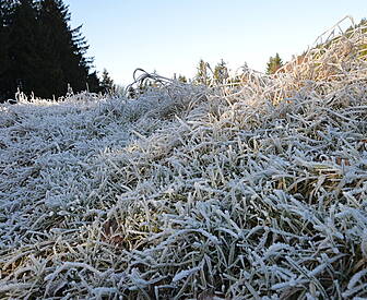 Snow Ice Warning In Place For...
