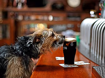 Dublin Is The Fifth Most Expen...