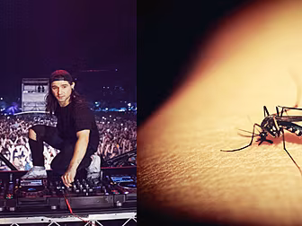 Blasting Skrillex Can Keep Mos...
