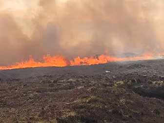 Major Gorse Fire Tackled in Co...