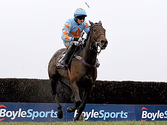 'Horse Of A Lifetime' Un De Sc...