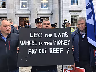 Meat Factories Warn Of Job Los...