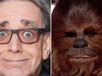 Star Wars Actor Peter Mayhew H...