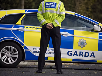 Man Dies in Roscommon Hit-And-...