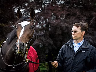 Aidan O'Brien withdraws all of...