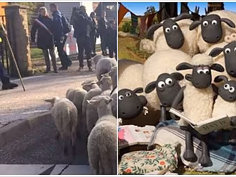 A Rural School Is Registering...