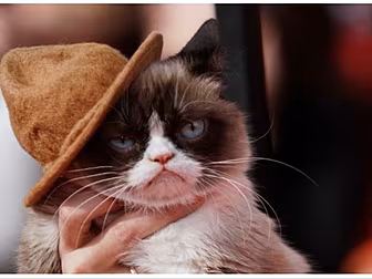 Much Loved Internet Superstar...