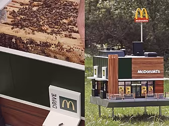 World's Smallest McDonald's Bu...