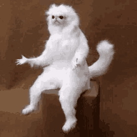 What Language Do Bilingual Peo...
