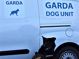 Man Arrested After Suspected C...