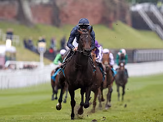 Aidan O’Brien seeks more Derby...
