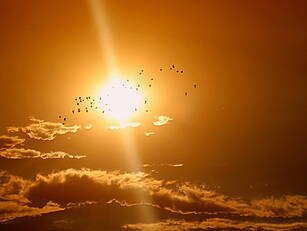 Met Eireann Issues High Temper...