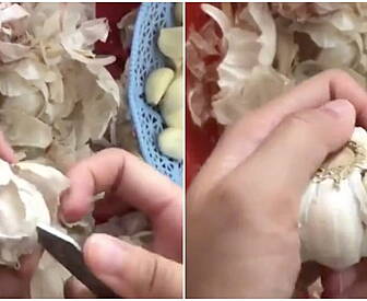 Garlic Peeling Hack Goes Viral...