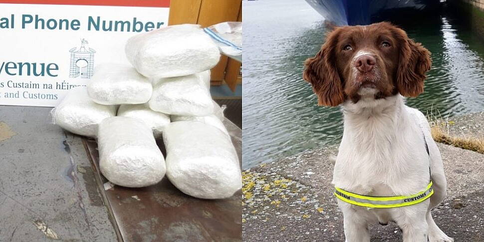 Detector Dog Sniffs Out Drugs...