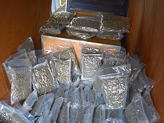 Cannabis Worth €2 Million Seiz...