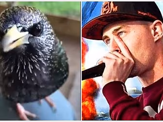 This Footage Of a Beatboxing B...