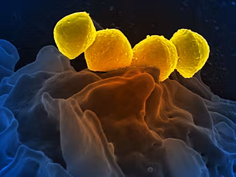 Watch Out For Signs Of Strep A...