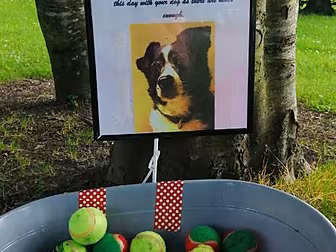 This Gorgeous Tribute To A Dog...