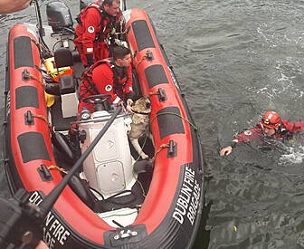 Two People, A Dog, Rescued fro...