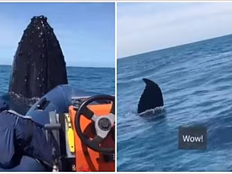 Teenager Films Incredible Hump...