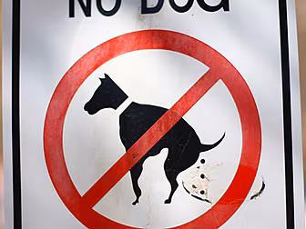 1,654 Fines Issued To Dog Owne...