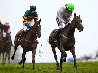 G-G-G-Galway: Four horses to p...