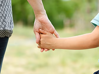 Highest Number Of Adoptions In...