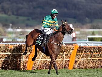 Champion Hurdle hero Espoir D'...