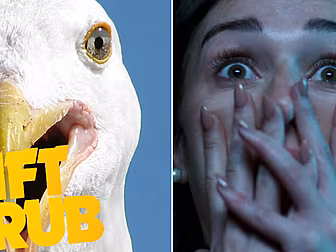 Gift Grub - Seagulls: The Movi...