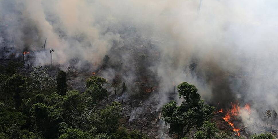 Why The Amazon Rainforest Fire...