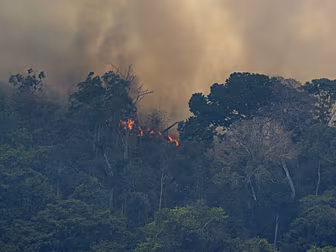 Deforestation In The Amazon In...
