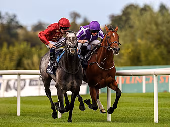 Leopardstown to start Champion...