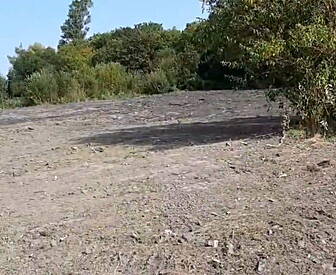 Destruction of Dublin wetlands...