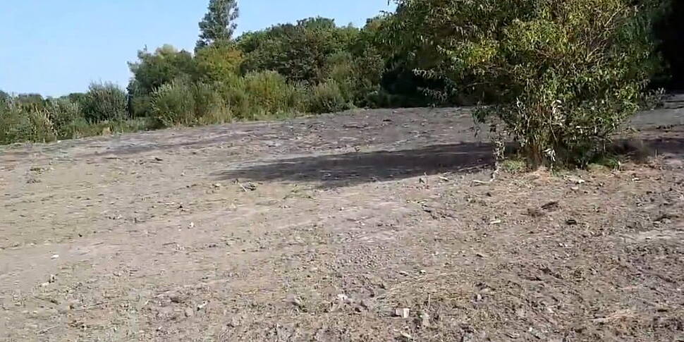 Destruction of Dublin wetlands...