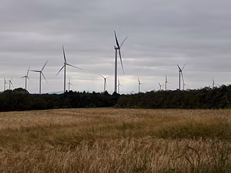 Government Plans To Have 70% R...