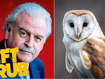 Gift Grub - RTÉ Auction Off EV...