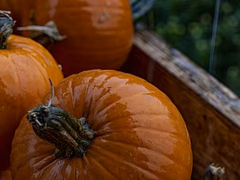 The Scary Truth About Waste At...