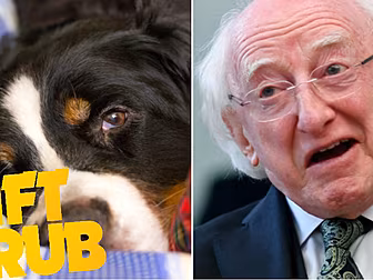 Gift Grub - Michael D Loves Sl...